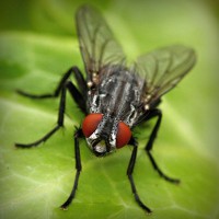 /album/portaldaterceiraidade/photolia-a01-jpg/