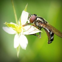 /album/portaldaterceiraidade/photolia-a02-jpg/