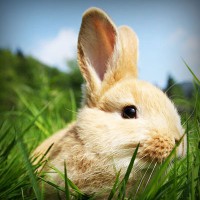 /album/portaldaterceiraidade/photolia-a03-jpg/