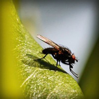 /album/portaldaterceiraidade/photolia-a04-jpg/