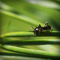 /album/portaldaterceiraidade/photolia-a05-jpg/