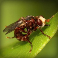 /album/portaldaterceiraidade/photolia-a06-jpg/