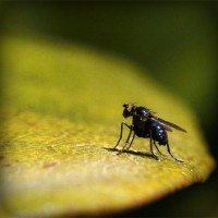 /album/portaldaterceiraidade/photolia-a07-jpg/