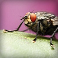 /album/portaldaterceiraidade/photolia-a08-jpg/